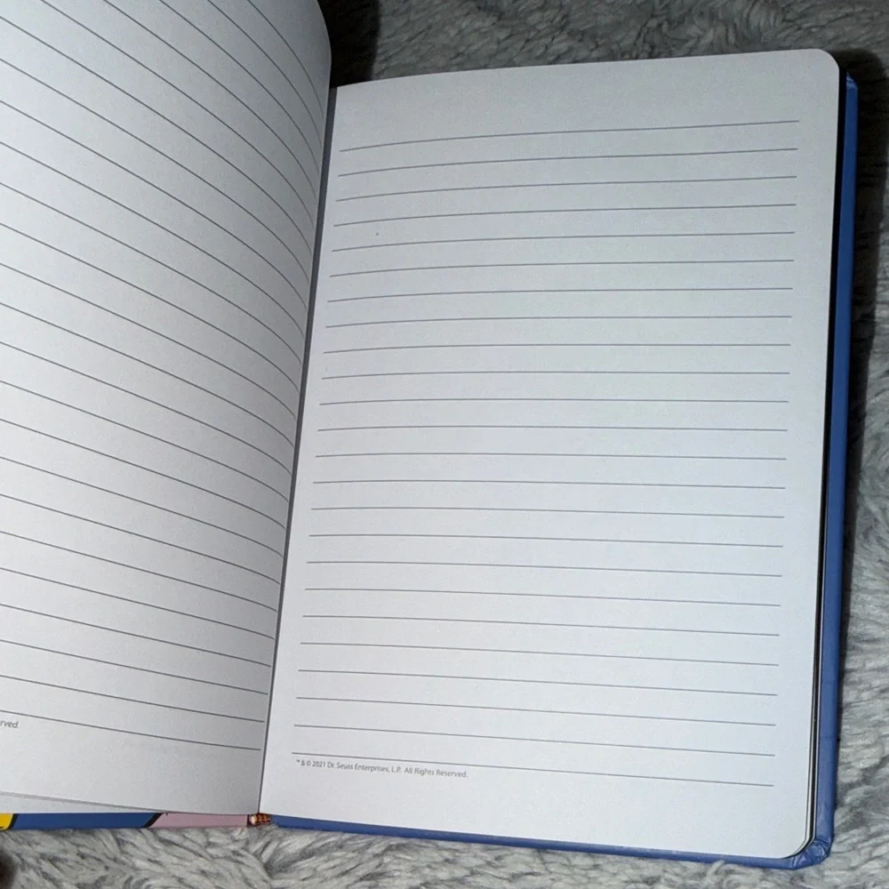 Colorful Dr. Seuss Notebook There is Fun to Be Done